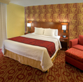 One King Bed Guest Room