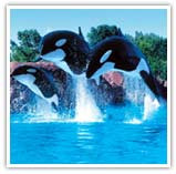 Marineland Canada Package